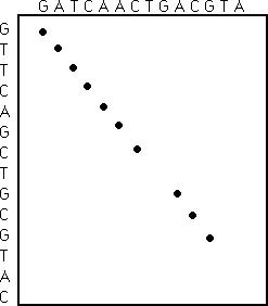 Image2