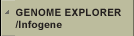 Gene explorer